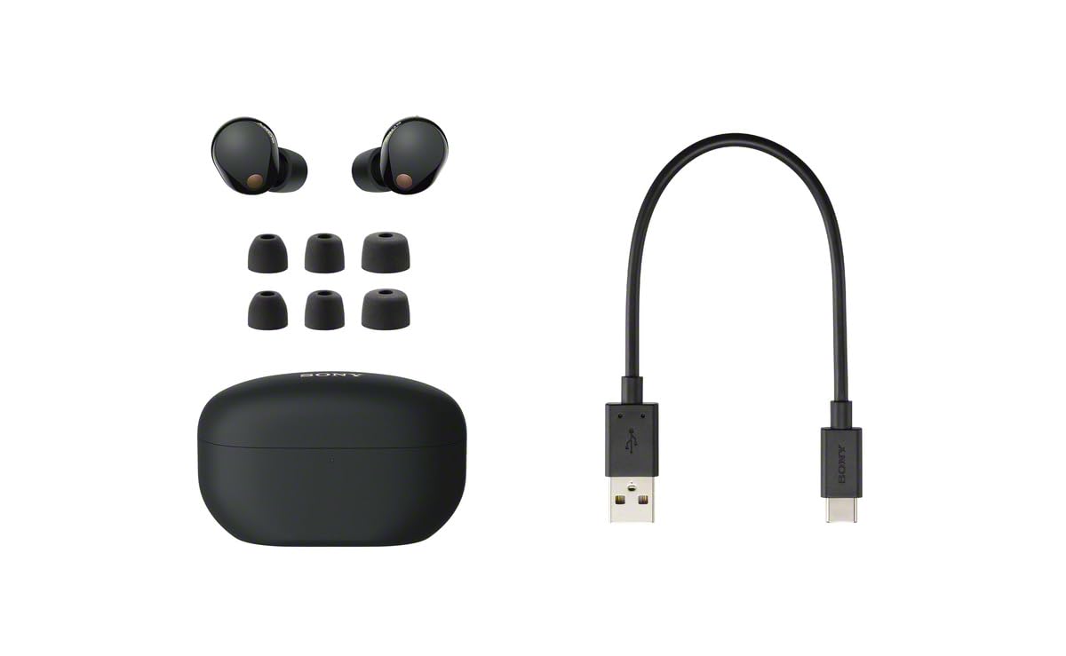 Sony WF-1000XM5 Active Noise Cancelling Wireless Bluetooth in Ear Earbuds with Mic, Up to 36 Hours Battery Life - Black