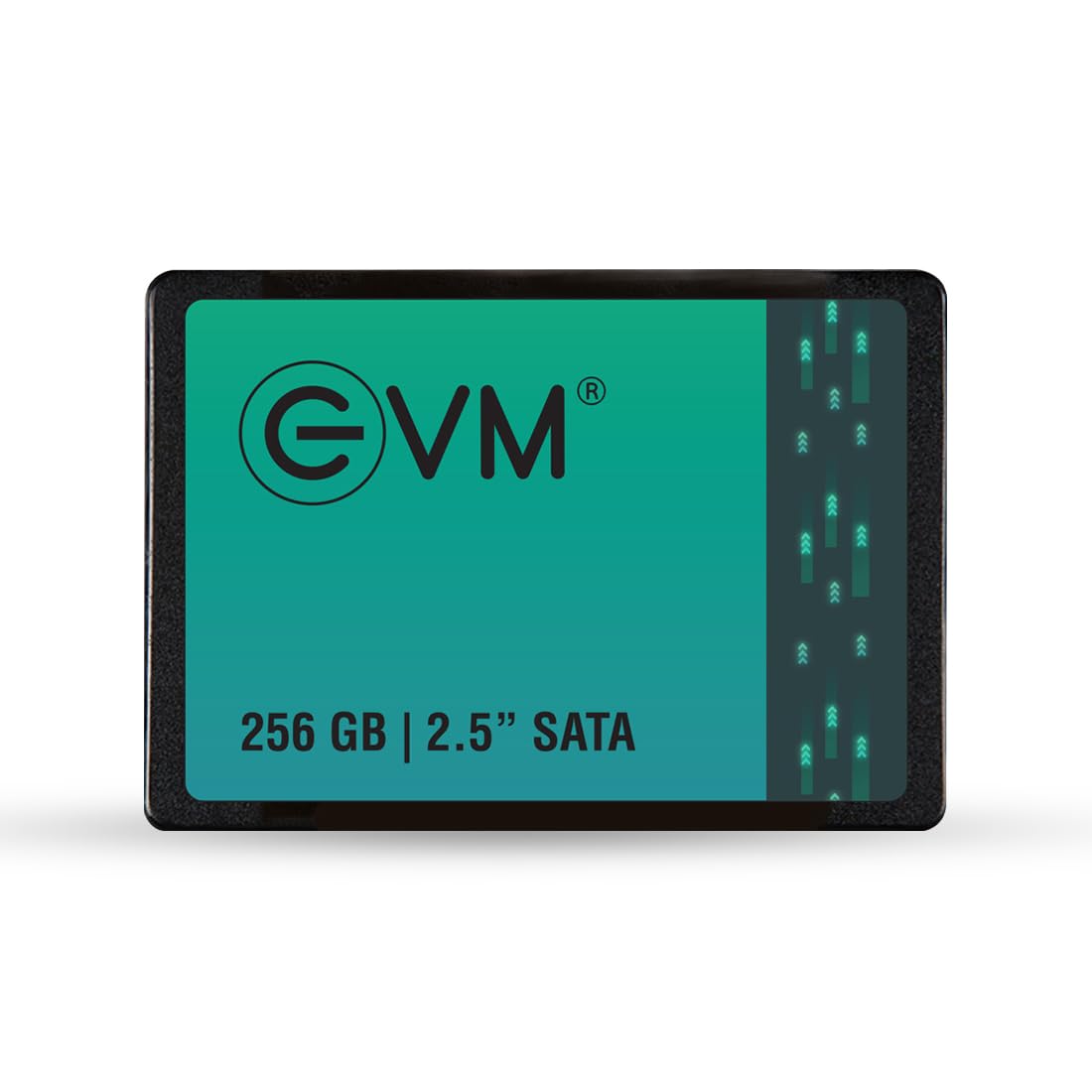 EVM 512GB 2.5-Inch SATA Internal SSD - 550MB/s Read & 500MB/s Write - 5-Year Warranty (EVM25/512GB)