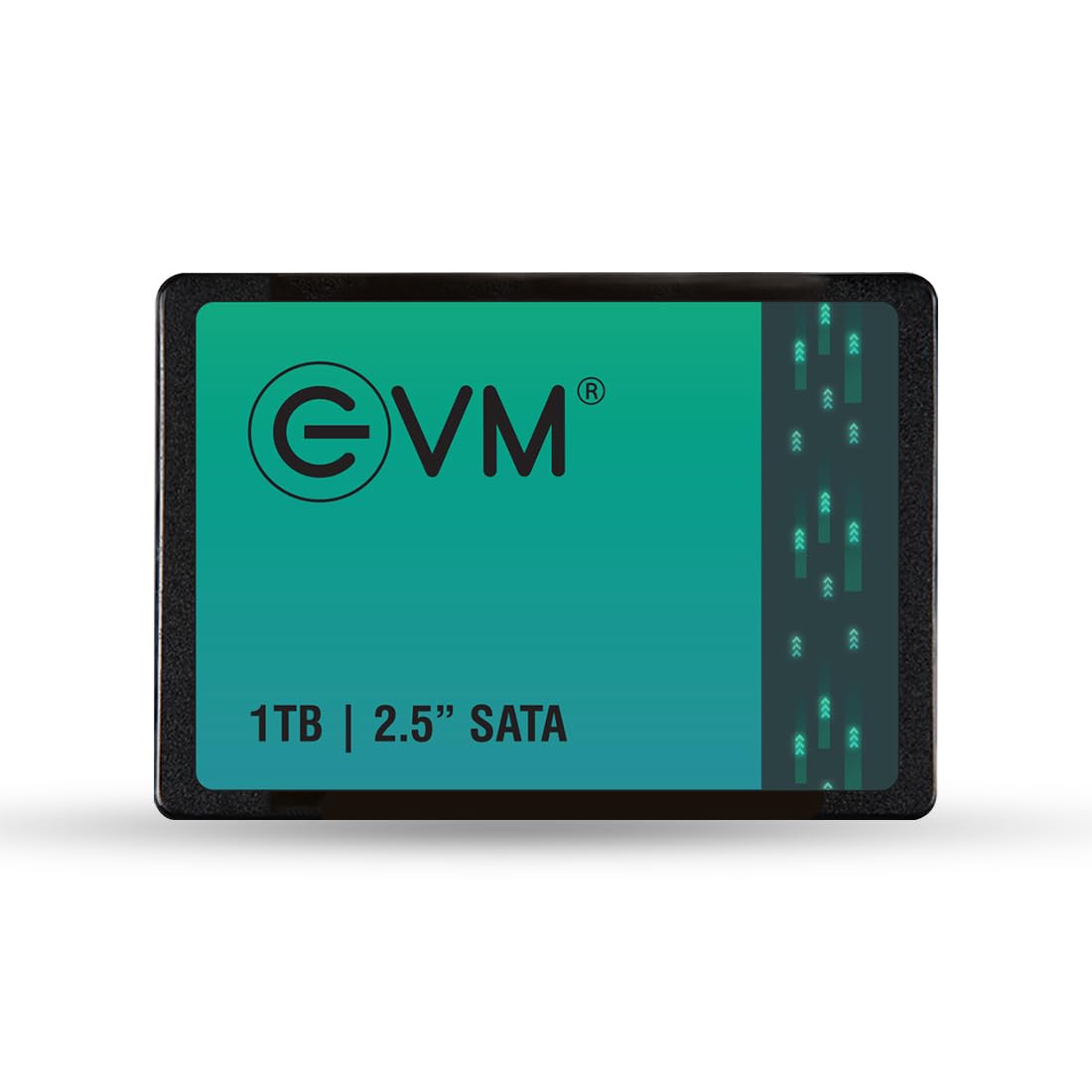 EVM 512GB 2.5-Inch SATA Internal SSD - 550MB/s Read & 500MB/s Write - 5-Year Warranty (EVM25/512GB)