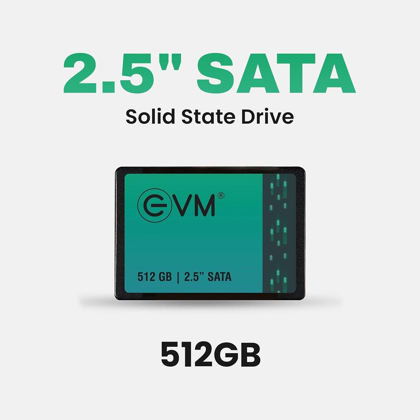 EVM 512GB 2.5-Inch SATA Internal SSD - 550MB/s Read & 500MB/s Write - 5-Year Warranty (EVM25/512GB)