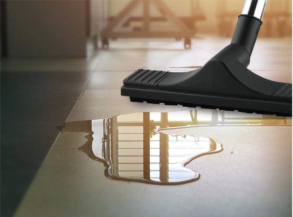 Eureka Forbes Ultimo Wet & Dry 1400 Watts, 20 KPa High Power Suction Vacuum Cleaner | Blower Function | 20 litres Tank Capacity | Stainless Steel Body | 7 Accessories | Lightweight | 1 Year Warranty