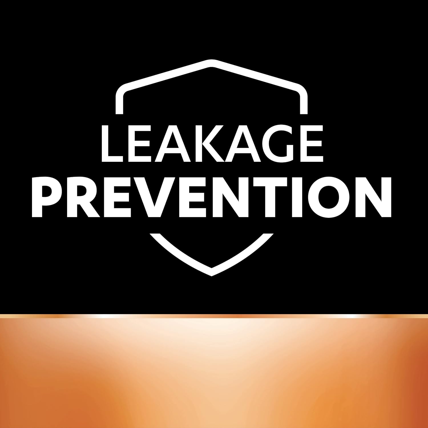 Duracell Alkaline AAA Battery, Pack of 10, Everyday Devices, Clock, Toy, Remote