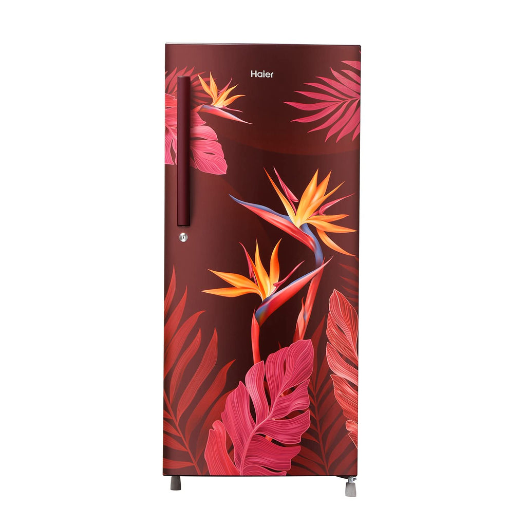 Haier 205 L, 3 Star, Direct-Cool Single Door Refrigerator (HED-213MB-N, Graphite Black)