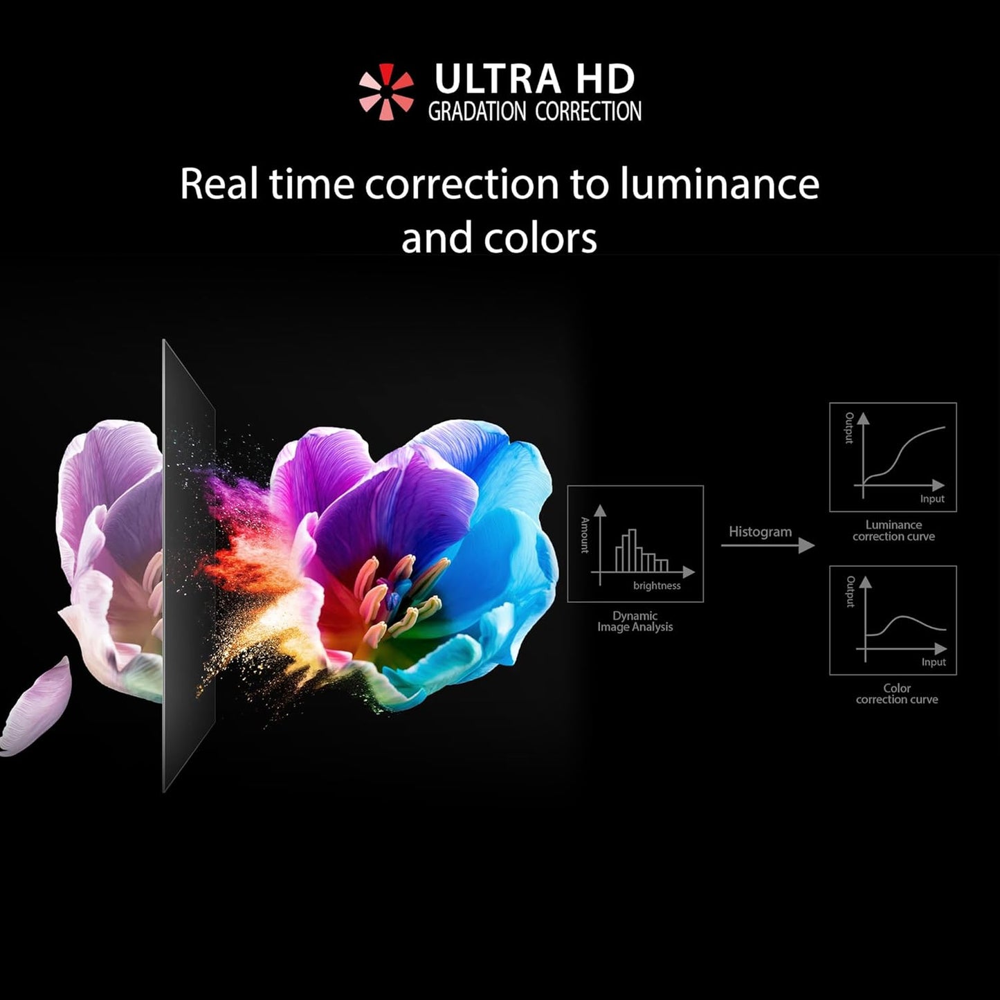 TOSHIBA 164 cm (65 inches) C380RP Series 4K Ultra HD Smart LED TV 65C380RP