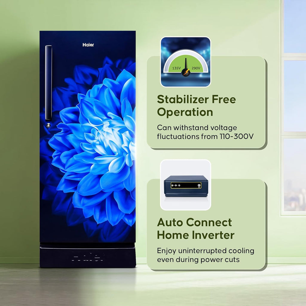 Haier 190 L, 5 Star, Direct-Cool Single Door Refrigerator (HED-205MDB-P, Marine Dahelia, Base Stand Drawer)