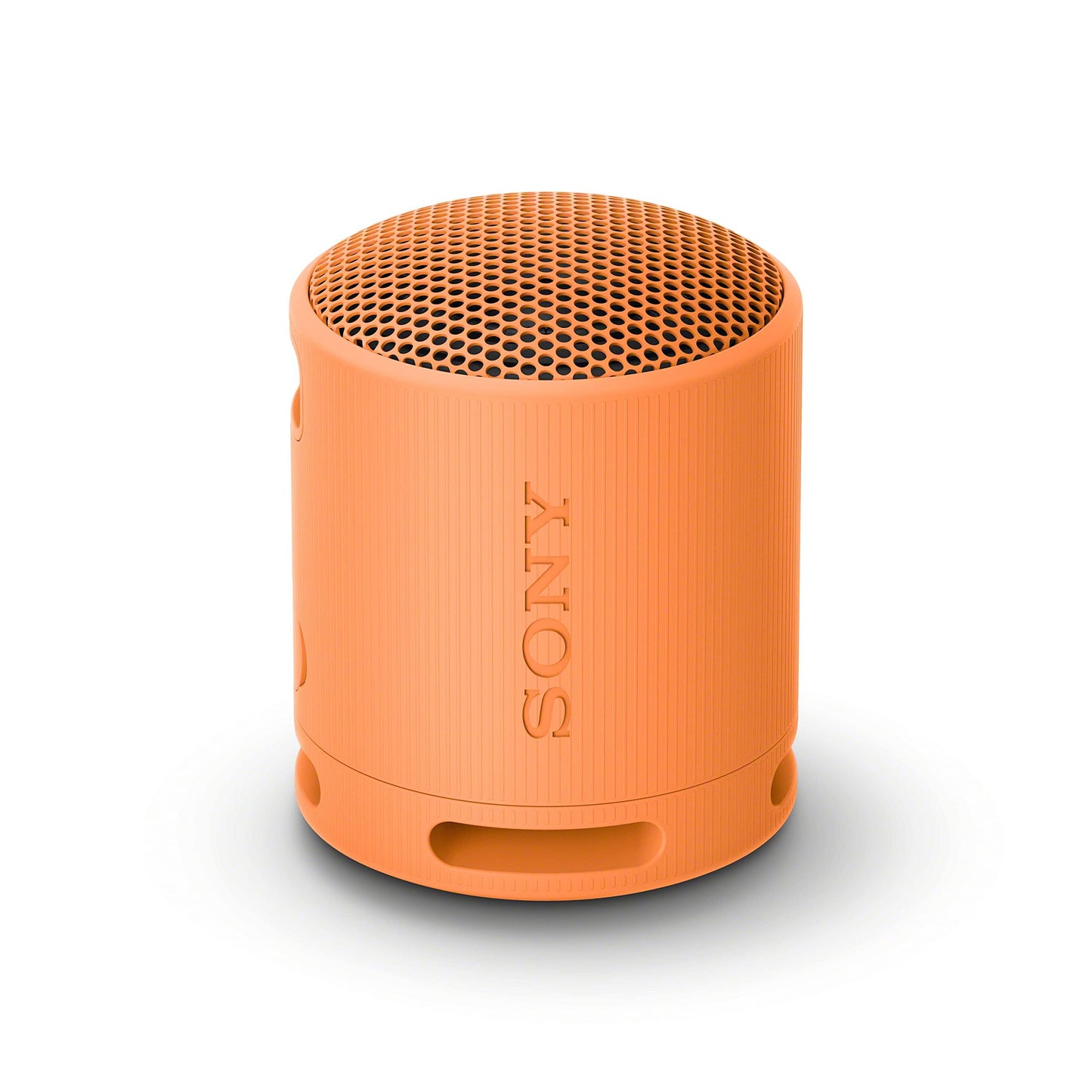 Sony SRS-XB100 Wireless Bluetooth Portable Lightweight Super-Compact Travel Speaker, Extra-Durable IP67 Waterproof & Dustproof, 16 Hrs Batt, Versatile Strap, Extra Bass & Hands-Free Calling-Black