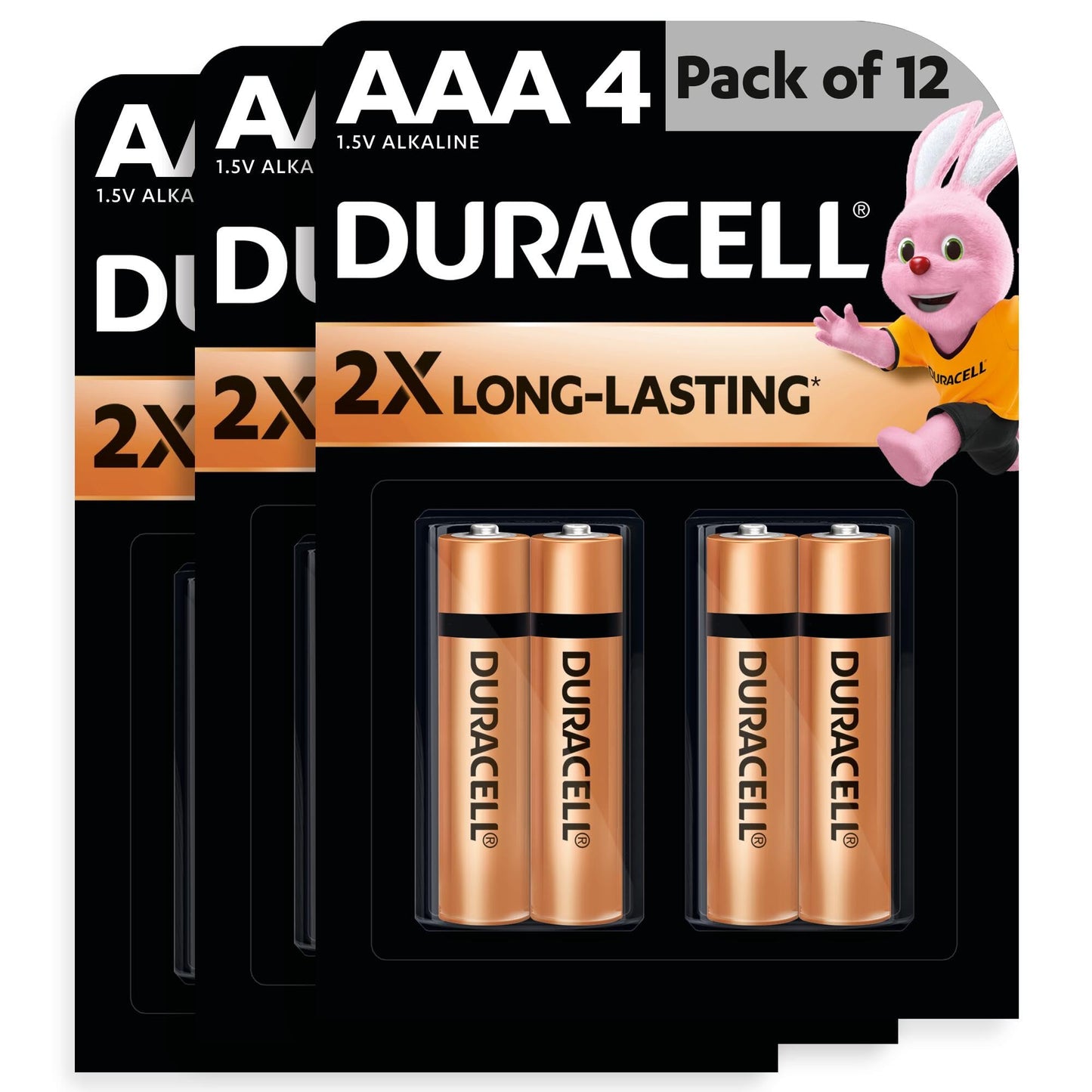 Duracell Alkaline AAA Battery, Pack of 10, Everyday Devices, Clock, Toy, Remote