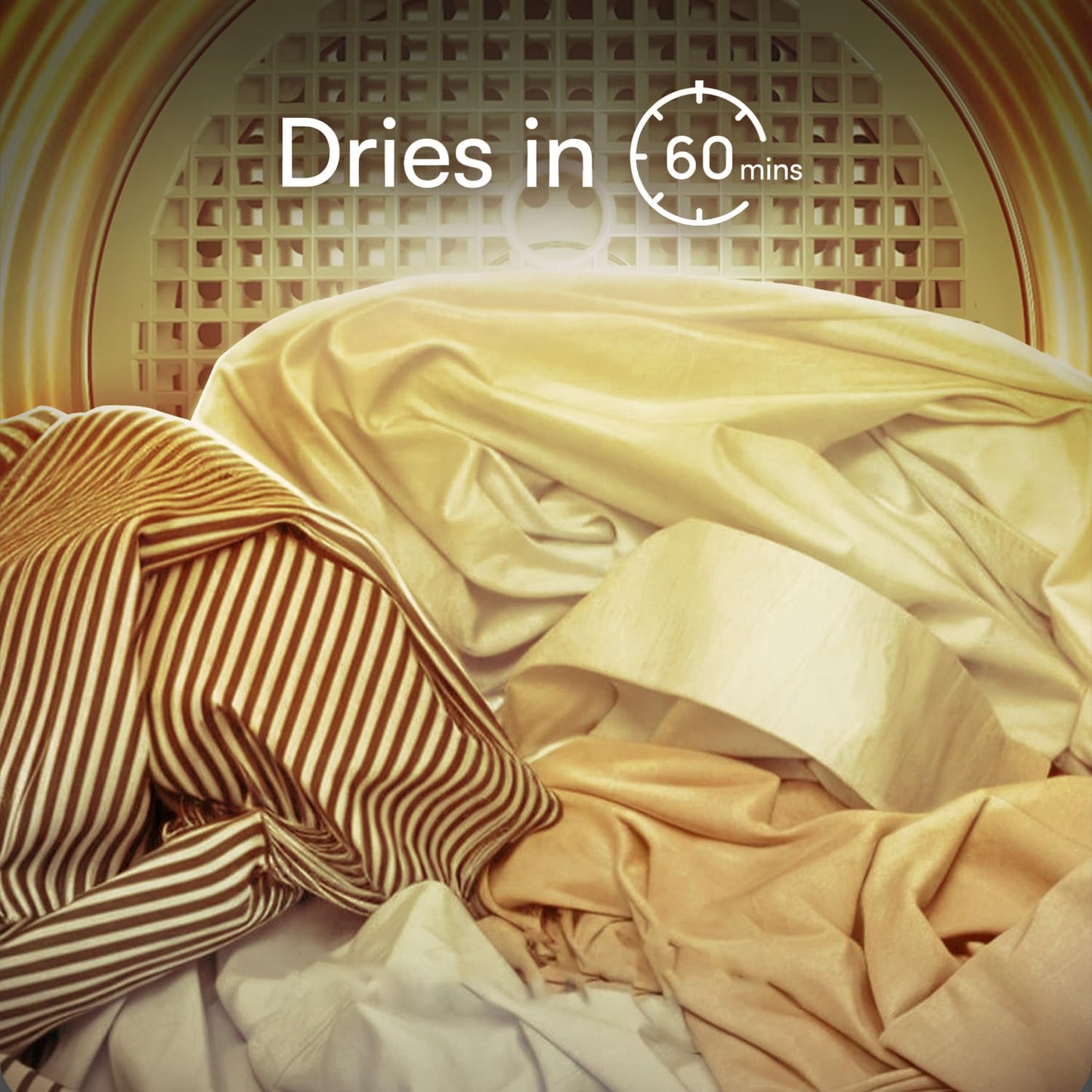 IFB 5.5 kg Fully-automatic Dryer (TURBO DRY EX, Silver, Wall Mountable,Anti crease)