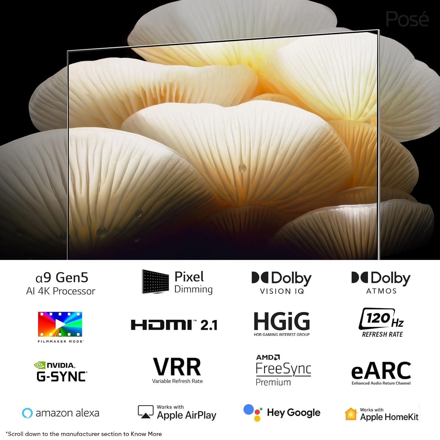 LG 139 cms (55 inches) Objet Collection LX1 Posé Series 4K Ultra HD Smart OLEDevo TV 55LX1QPSA (Beige)