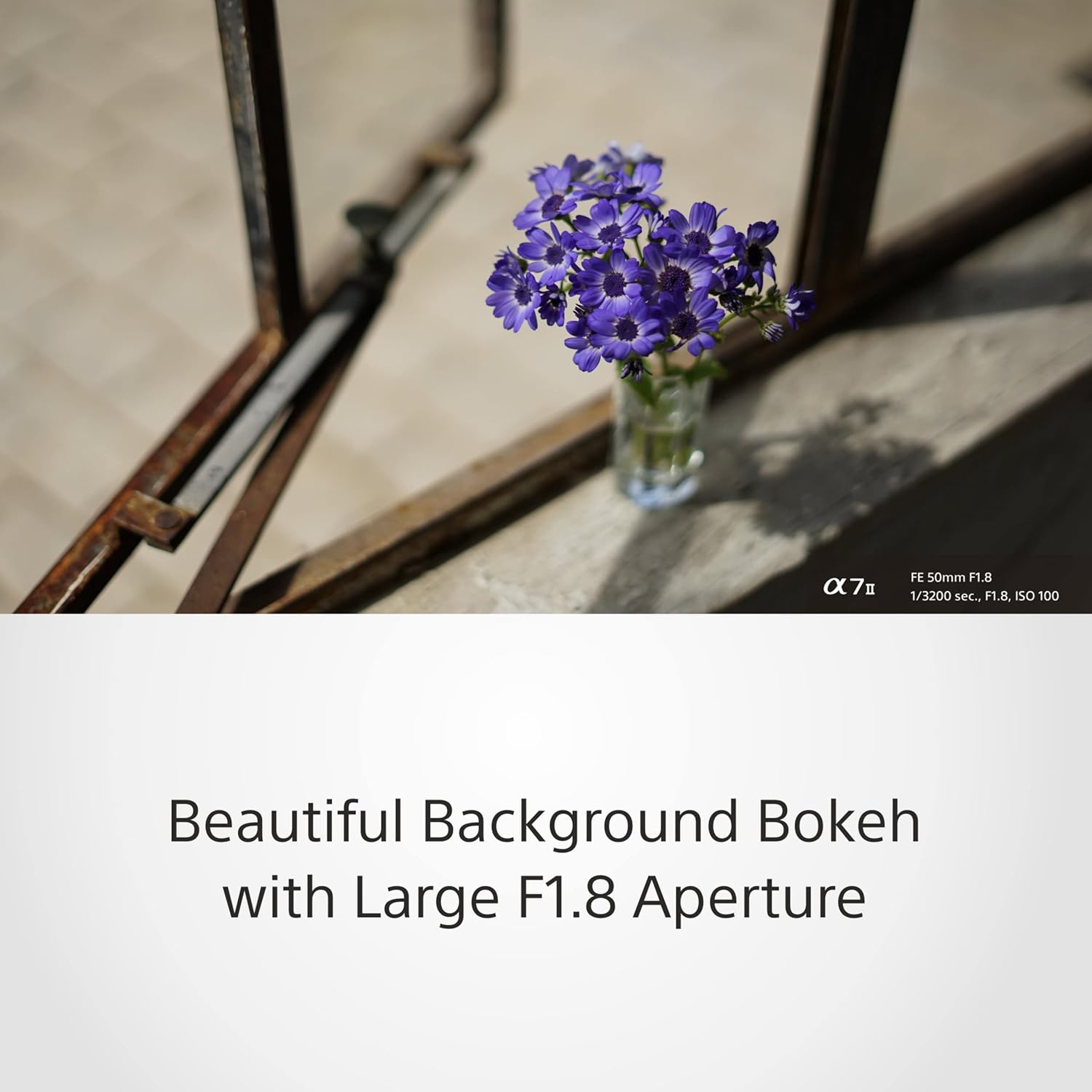 Sony E Mount FE 50mm F1.8 Full-Frame Lens (SEL50F18F) | Standard Prime | for Soft Bokeh