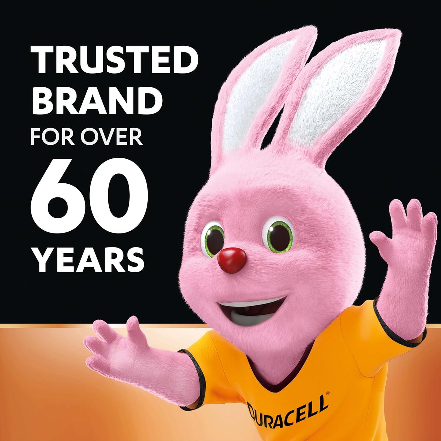 Duracell Alkaline AAA Battery, Pack of 10, Everyday Devices, Clock, Toy, Remote